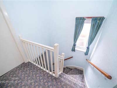 Picture 19